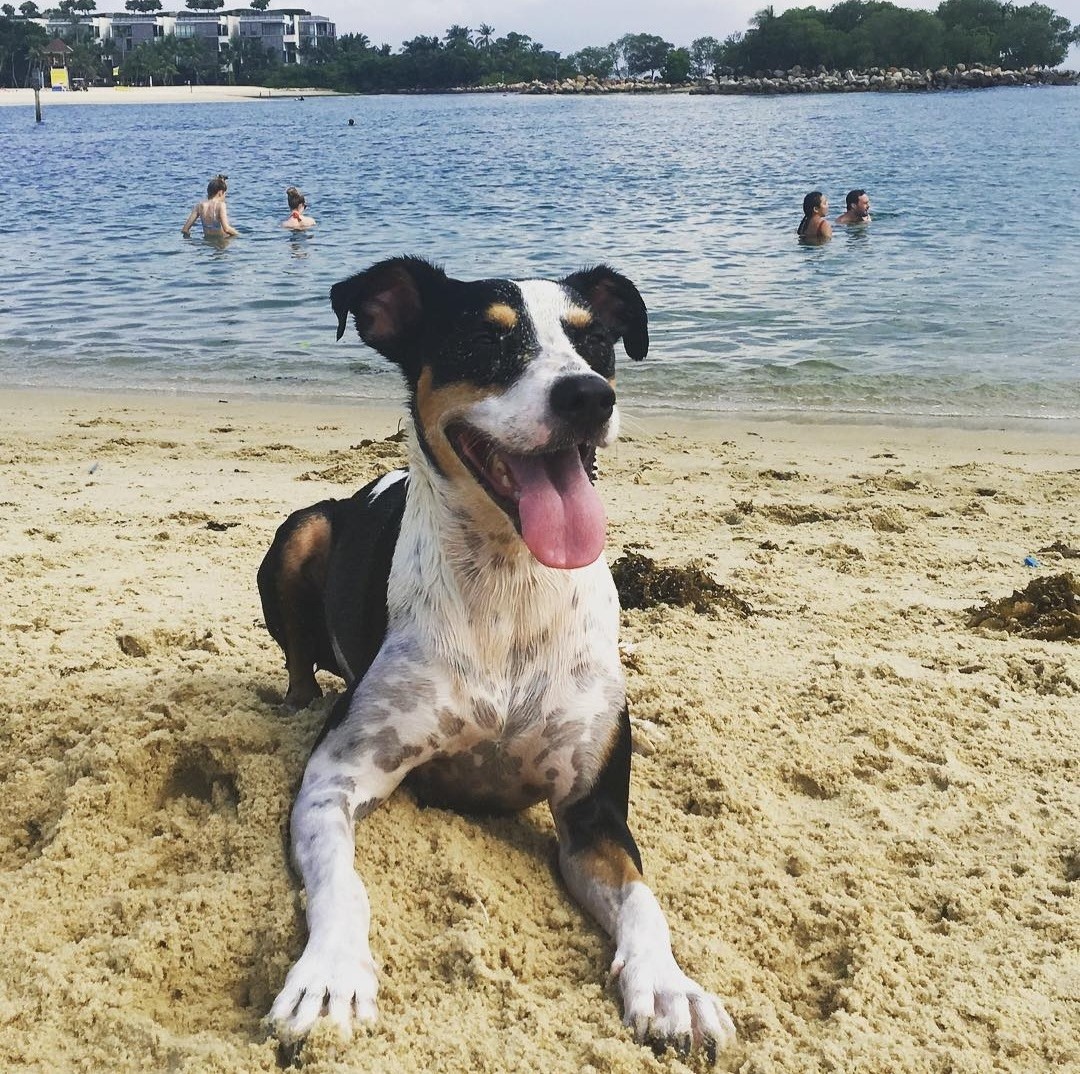 maggie at sentosa
